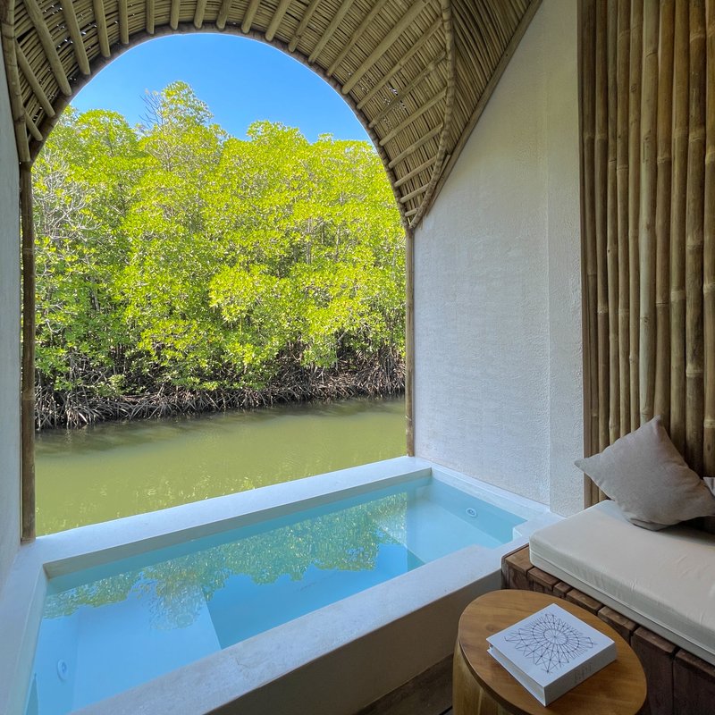 Private jacuzzi with mangrove views at Salty & Sunny